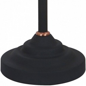 Настольная лампа офисная Arte Lamp Braccio A2054LT-1BK в Муравленко - muravlenko.mebel24.online | фото 4