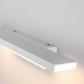 Подсветка для картины Elektrostandard Sankara a038372 в Муравленко - muravlenko.mebel24.online | фото 3