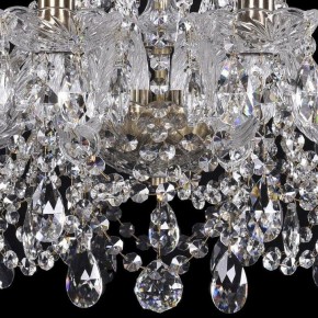 Подвесная люстра Bohemia Ivele Crystal 1411 1411/10/195/Pa в Муравленко - muravlenko.mebel24.online | фото 3