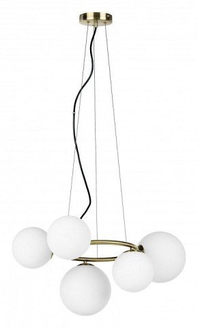 Подвесная люстра Lightstar Globo 815051 в Муравленко - muravlenko.mebel24.online | фото 2