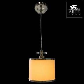 Подвесной светильник Arte Lamp Furore A3990SP-1CC в Муравленко - muravlenko.mebel24.online | фото 3