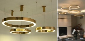 Подвесной светильник Imperiumloft Light Ring Horizontal 40.1454-50 в Муравленко - muravlenko.mebel24.online | фото 2