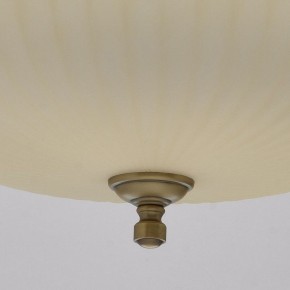 Подвесной светильник MW-Light Афродита 1 317010504 в Муравленко - muravlenko.mebel24.online | фото 9