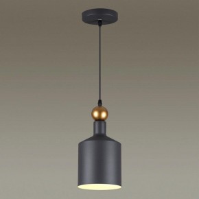 Подвесной светильник Odeon Light Bolli 4085/1 в Муравленко - muravlenko.mebel24.online | фото 3