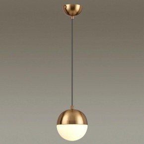 Подвесной светильник Odeon Light Pinga 4960/1 в Муравленко - muravlenko.mebel24.online | фото 2