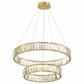 Подвесной светильник Odeon Light Vekia 5015/60L в Муравленко - muravlenko.mebel24.online | фото 2