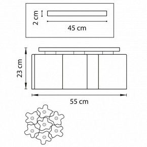 Потолочная люстра Lightstar Nubi 802073 в Муравленко - muravlenko.mebel24.online | фото 2