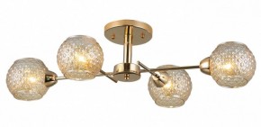 Потолочная люстра Rivoli Amalia Б0050815 в Муравленко - muravlenko.mebel24.online | фото 3