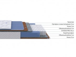 PROxSON Матрас Active Duo M/F (Ткань Трикотаж Эко) 120x200 в Муравленко - muravlenko.mebel24.online | фото 1