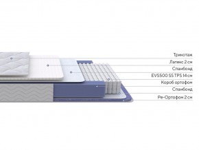 PROxSON Матрас Active Duo S/F (Ткань Трикотаж Эко) 180x200 в Муравленко - muravlenko.mebel24.online | фото 2