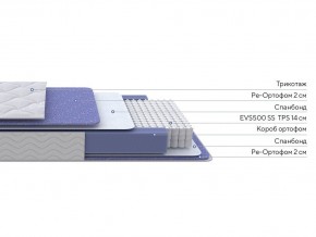 PROxSON Матрас Active F (Ткань Трикотаж Эко) 80x200 в Муравленко - muravlenko.mebel24.online | фото 2