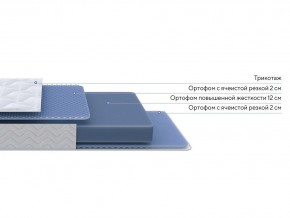 PROxSON Матрас Active Flex M (Ткань Трикотаж Эко) 200x200 в Муравленко - muravlenko.mebel24.online | фото 2