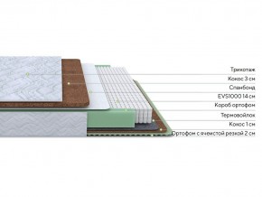 PROxSON Матрас Green Duo M/F (Tricotage Dream) 80x190 в Муравленко - muravlenko.mebel24.online | фото 2