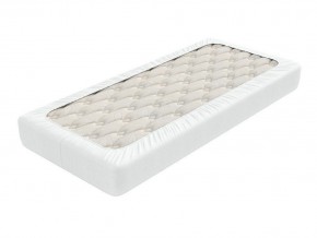 PROxSON Защитный чехол Aqua Save Plush S (Ткань влагостойкая Coral Fleece) 80x190 в Муравленко - muravlenko.mebel24.online | фото 1