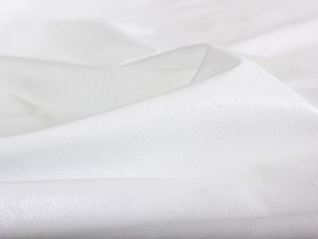 PROxSON Защитный чехол Aqua Save Plush S (Ткань влагостойкая Coral Fleece) 80x190 в Муравленко - muravlenko.mebel24.online | фото 5