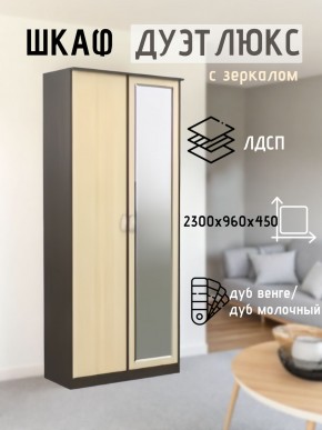 Шкаф 2-х створчатый Дуэт Люкс с зеркалом в Муравленко - muravlenko.mebel24.online | фото