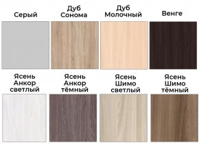 Шкаф-купе ХИТ 22-4-14-88 (420) в Муравленко - muravlenko.mebel24.online | фото 3