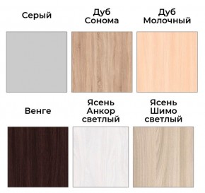 Шкаф-купе ХИТ 22-4-14-88 (420) в Муравленко - muravlenko.mebel24.online | фото 4