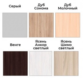 Шкаф-купе ХИТ 22-4-17-55 (420) в Муравленко - muravlenko.mebel24.online | фото 3