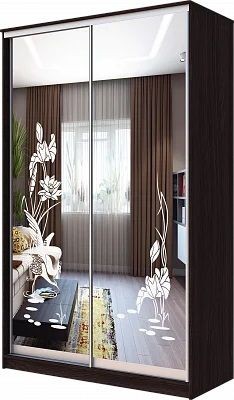 Шкаф-купе ХИТ 23-17-66 ЦАПЛИ в Муравленко - muravlenko.mebel24.online | фото