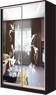 Шкаф-купе ХИТ 23-4-12/2-66 КОЛИБРИ в Муравленко - muravlenko.mebel24.online | фото
