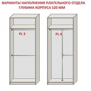 Шкаф распашной серия «ЗЕВС» (PL3/С1/PL2) в Муравленко - muravlenko.mebel24.online | фото 10