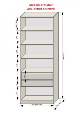 Шкаф распашной серия «ЗЕВС» (PL3/С1/PL2) в Муравленко - muravlenko.mebel24.online | фото 13