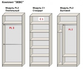 Шкаф распашной серия «ЗЕВС» (PL3/С1/PL2) в Муравленко - muravlenko.mebel24.online | фото 2