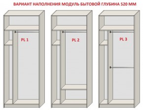 Шкаф распашной серия «ЗЕВС» (PL3/С1/PL2) в Муравленко - muravlenko.mebel24.online | фото 5