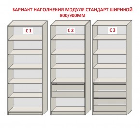 Шкаф распашной серия «ЗЕВС» (PL3/С1/PL2) в Муравленко - muravlenko.mebel24.online | фото 6