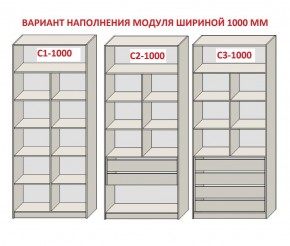 Шкаф распашной серия «ЗЕВС» (PL3/С1/PL2) в Муравленко - muravlenko.mebel24.online | фото 7