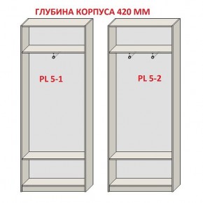 Шкаф распашной серия «ЗЕВС» (PL3/С1/PL2) в Муравленко - muravlenko.mebel24.online | фото 8