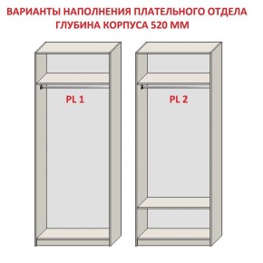 Шкаф распашной серия «ЗЕВС» (PL3/С1/PL2) в Муравленко - muravlenko.mebel24.online | фото 9