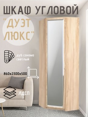 Шкаф угловой Дуэт Люкс с зеркалом в Муравленко - muravlenko.mebel24.online | фото