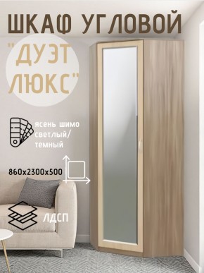 Шкаф угловой Дуэт Люкс с зеркалом в Муравленко - muravlenko.mebel24.online | фото 3