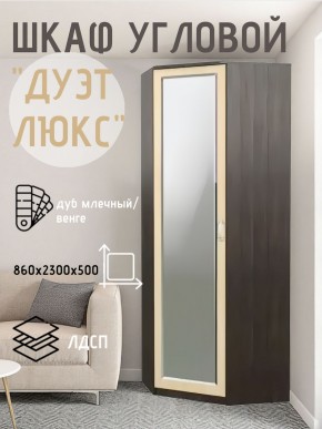 Шкаф угловой Дуэт Люкс с зеркалом в Муравленко - muravlenko.mebel24.online | фото 5