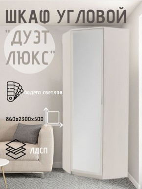 Шкаф угловой Дуэт Люкс с зеркалом в Муравленко - muravlenko.mebel24.online | фото 6
