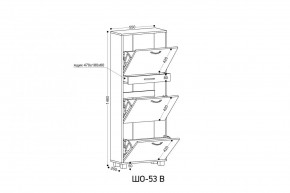 ШО-53 В тумба для обуви в Муравленко - muravlenko.mebel24.online | фото 3