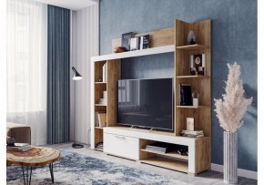 Стенка для гостиной Касэль в Муравленко - muravlenko.mebel24.online | фото 2