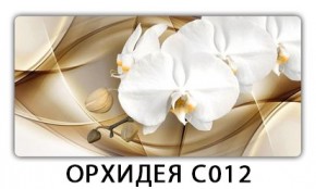 Стол раздвижной Трилогия с фотопечатью Ромашки R007 в Муравленко - muravlenko.mebel24.online | фото 13