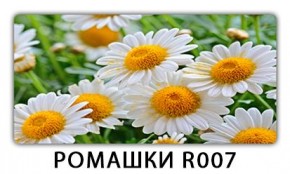 Стол раздвижной Трилогия с фотопечатью Ромашки R007 в Муравленко - muravlenko.mebel24.online | фото 15