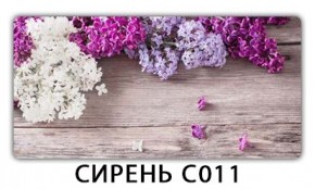 Стол раздвижной Трилогия с фотопечатью Ромашки R007 в Муравленко - muravlenko.mebel24.online | фото 16