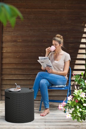 Столик-холодильник Кул-Стул (Cool stool) графит в Муравленко - muravlenko.mebel24.online | фото 1