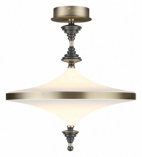 Светильник на штанге Odeon Light Ula 5404/43CL в Муравленко - muravlenko.mebel24.online | фото 2