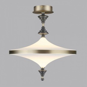Светильник на штанге Odeon Light Ula 5404/43CL в Муравленко - muravlenko.mebel24.online | фото 3