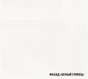 ТЕРЦИЯ Кухонный гарнитур Базис (2400 мм) в Муравленко - muravlenko.mebel24.online | фото 6