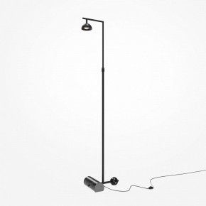 Торшер Maytoni Pikant MOD372FL-L10B3K в Муравленко - muravlenko.mebel24.online | фото 2