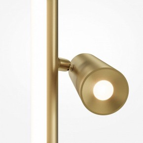 Торшер Maytoni Thin MOD395FL-L28BS3K в Муравленко - muravlenko.mebel24.online | фото 5