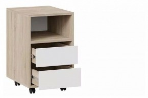 Тумбочка Тип 14 в Муравленко - muravlenko.mebel24.online | фото 2