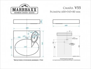 Умывальник над стиральной машиной (600*545*80) Смайл V55D1 (белый) с кронштейном без сифона (V55D1) в Муравленко - muravlenko.mebel24.online | фото 2